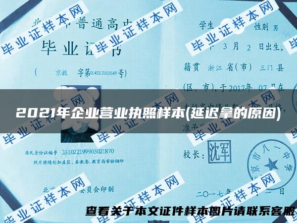 2021年企业营业执照样本(延迟拿的原因)