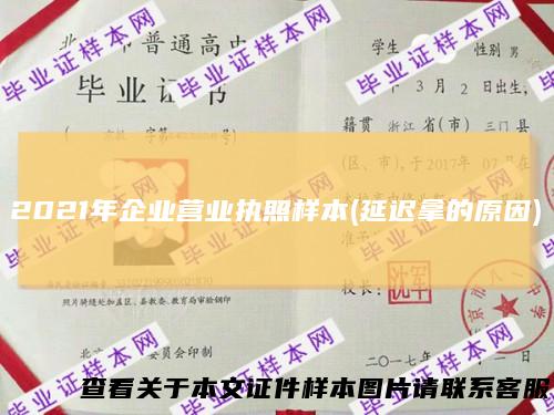 2021年企业营业执照样本(延迟拿的原因)