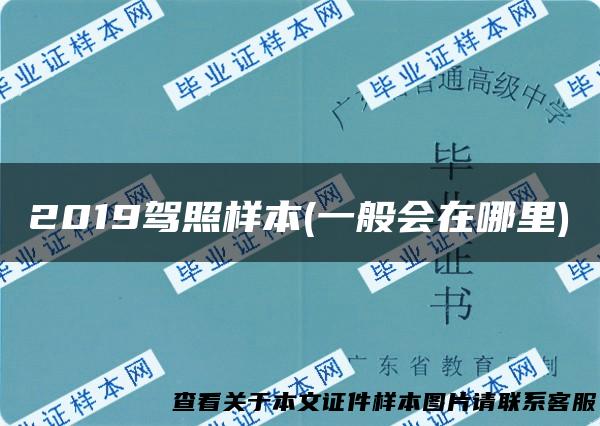 2019驾照样本(一般会在哪里)