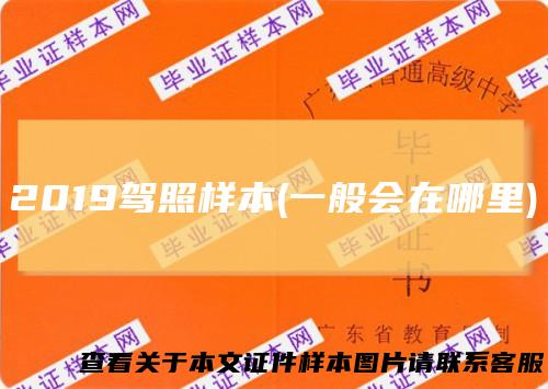 2019驾照样本(一般会在哪里)