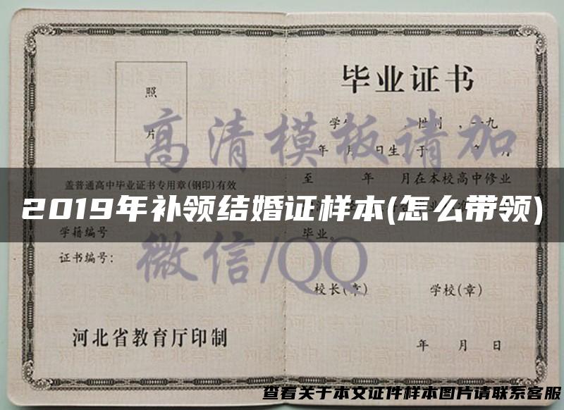 2019年补领结婚证样本(怎么带领)