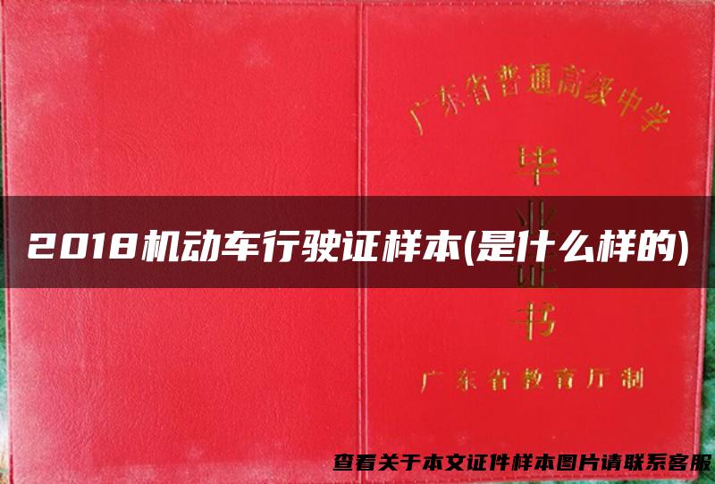 2018机动车行驶证样本(是什么样的)