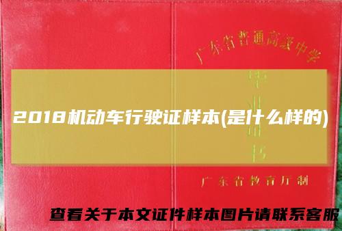 2018机动车行驶证样本(是什么样的)