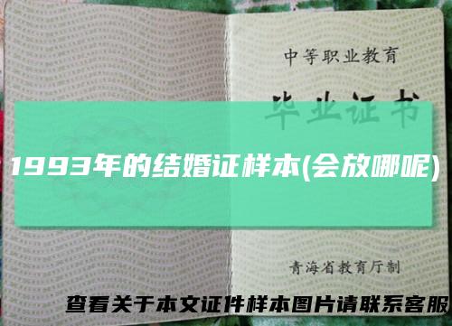 1993年的结婚证样本(会放哪呢)