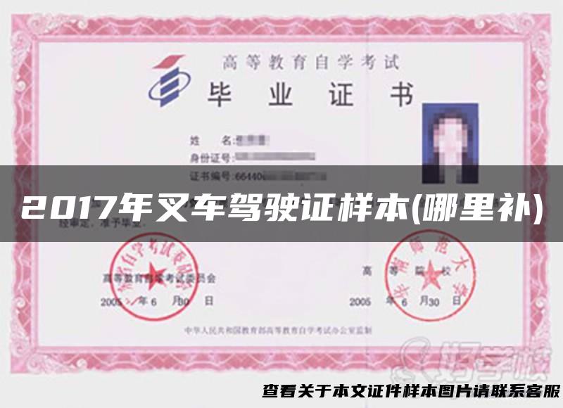 2017年叉车驾驶证样本(哪里补)