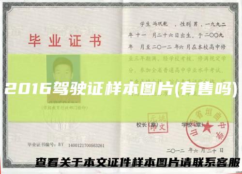 2016驾驶证样本图片(有售吗)