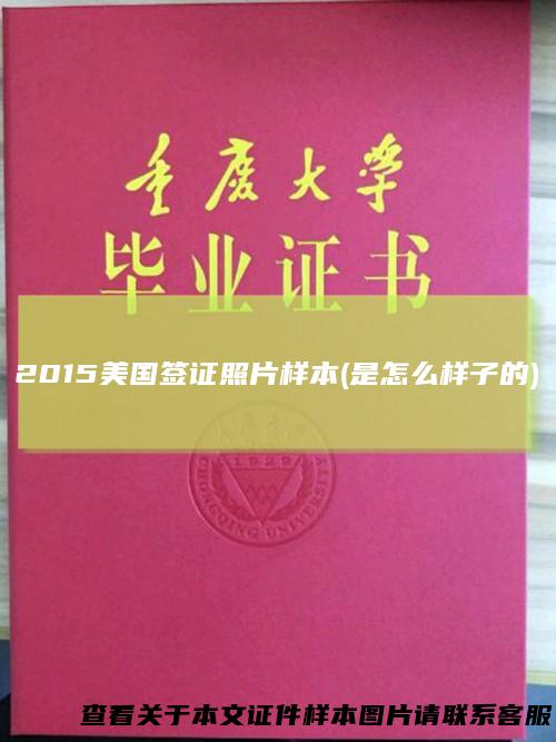 2015美国签证照片样本(是怎么样子的)