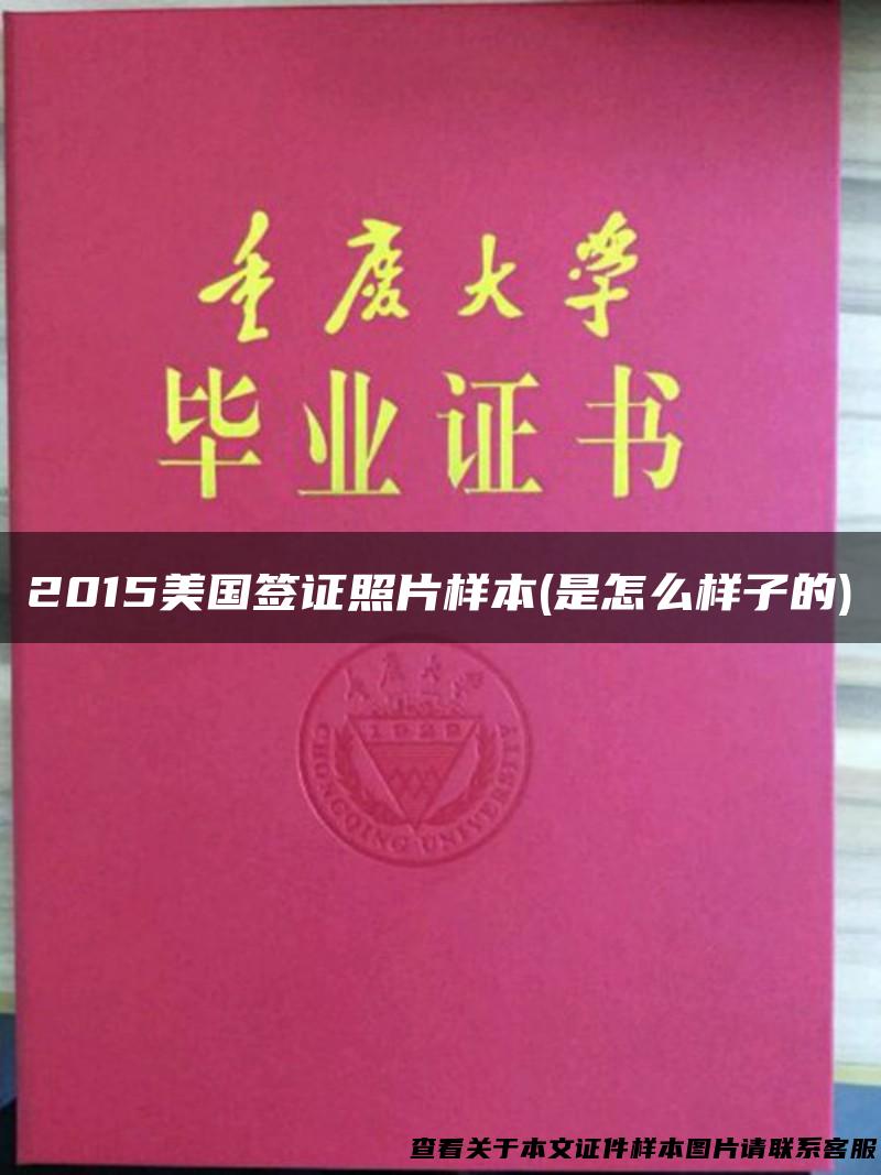 2015美国签证照片样本(是怎么样子的)