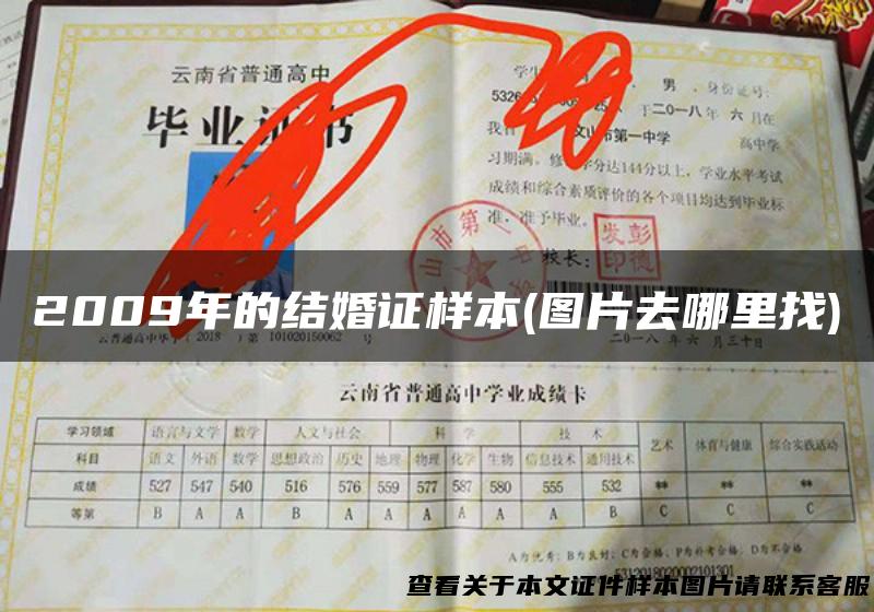 2009年的结婚证样本(图片去哪里找)