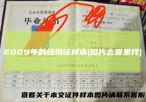 2009年的结婚证样本(图片去哪里找)