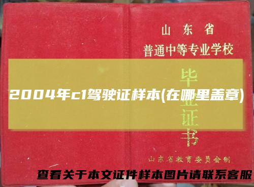 2004年c1驾驶证样本(在哪里盖章)