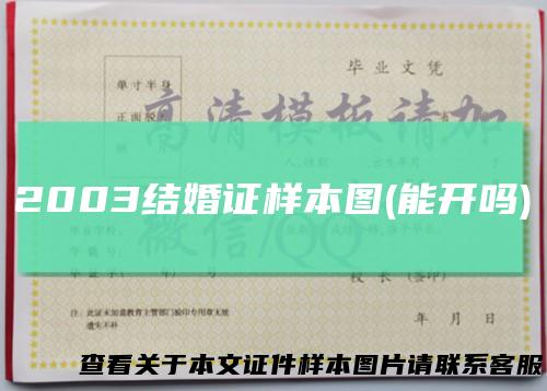 2003结婚证样本图(能开吗)