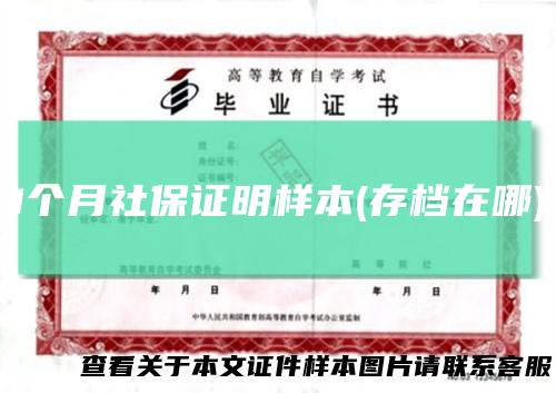 1个月社保证明样本(存档在哪)