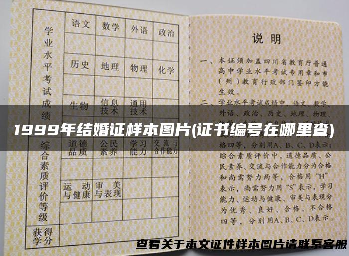 1999年结婚证样本图片(证书编号在哪里查)