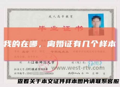 我的在哪,离婚证有几个样本