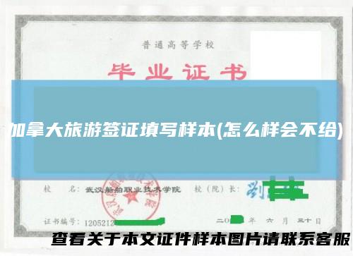 加拿大旅游签证填写样本(怎么样会不给)