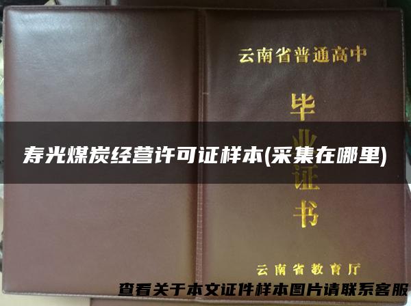 寿光煤炭经营许可证样本(采集在哪里)