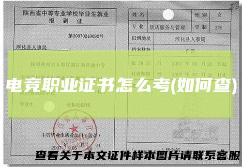 电竞职业证书怎么考(如何查)