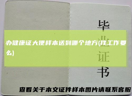 办健康证大便样本送到哪个地方(找工作要么)
