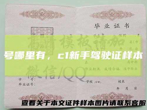 号哪里有，c1新手驾驶证样本