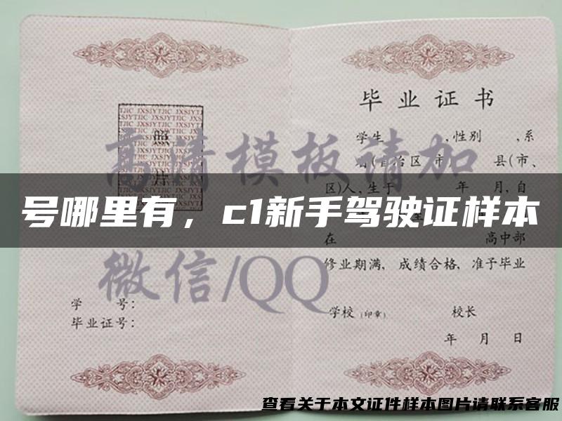 号哪里有，c1新手驾驶证样本