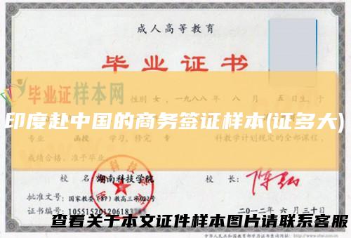印度赴中国的商务签证样本(证多大)