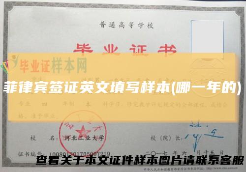 菲律宾签证英文填写样本(哪一年的)