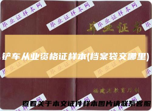 铲车从业资格证样本(档案袋交哪里)