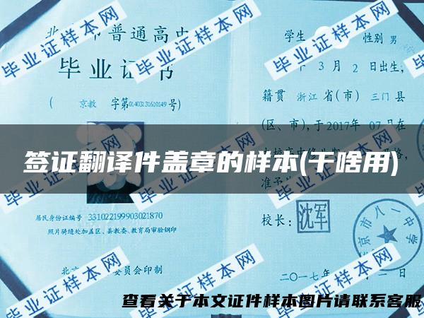 签证翻译件盖章的样本(干啥用)