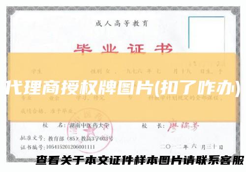 代理商授权牌图片(扣了咋办)