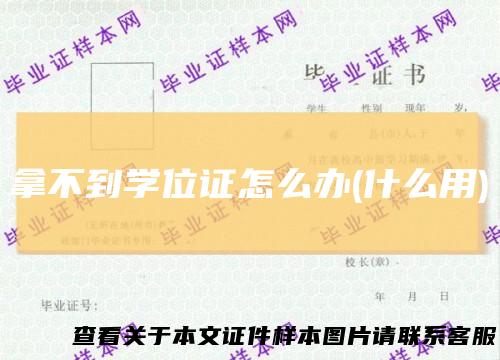 拿不到学位证怎么办(什么用)