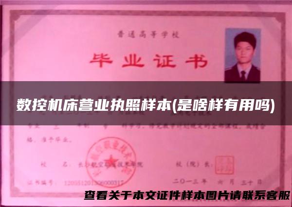 数控机床营业执照样本(是啥样有用吗)