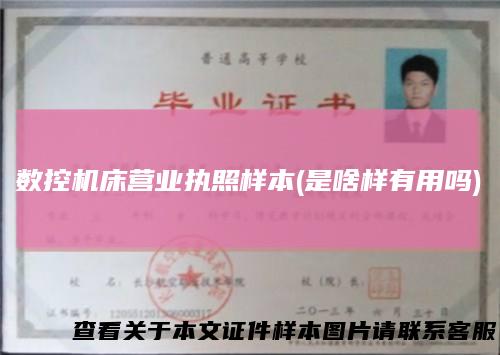 数控机床营业执照样本(是啥样有用吗)