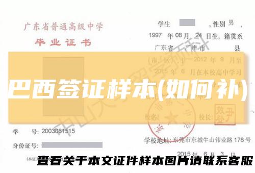 巴西签证样本(如何补)