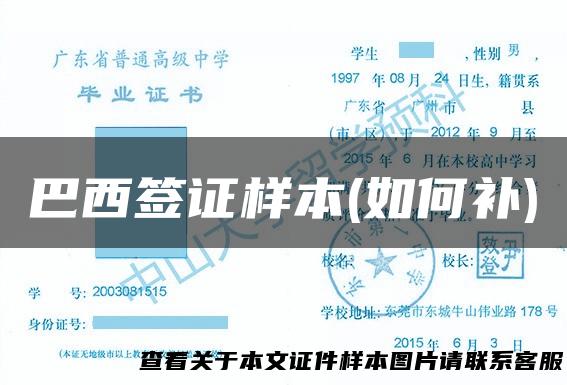 巴西签证样本(如何补)