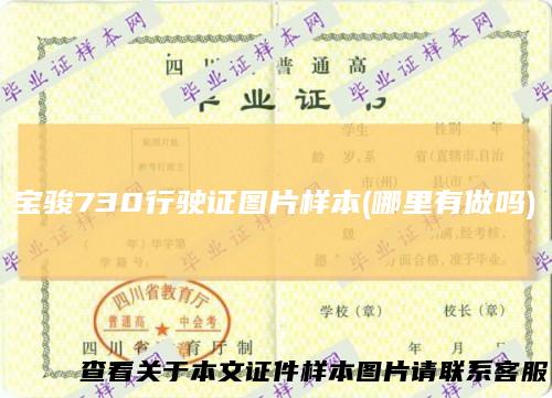 宝骏730行驶证图片样本(哪里有做吗)