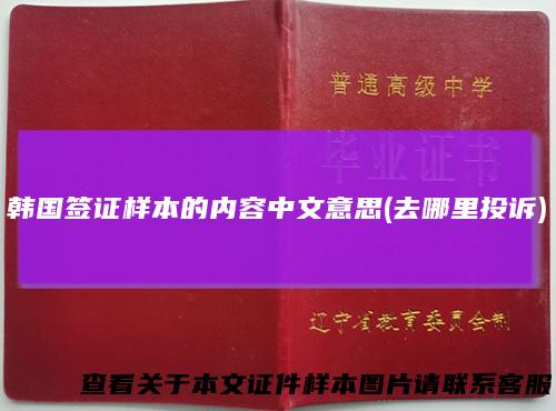 韩国签证样本的内容中文意思(去哪里投诉)