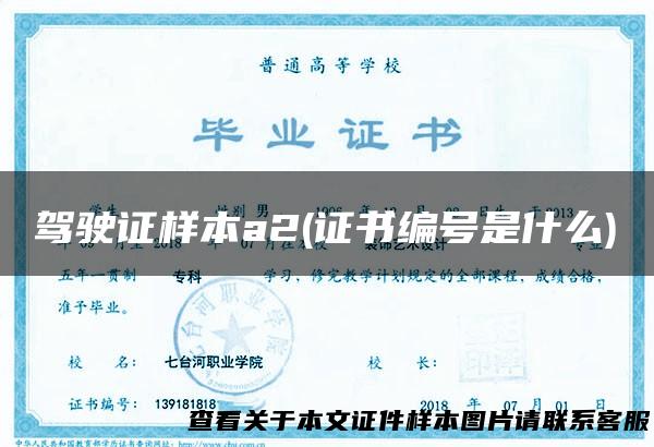 驾驶证样本a2(证书编号是什么)