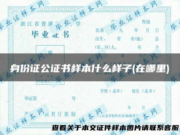 身份证公证书样本什么样子(在哪里)