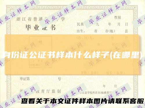 身份证公证书样本什么样子(在哪里)