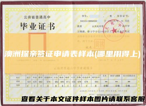 澳洲探亲签证申请表样本(哪里用得上)