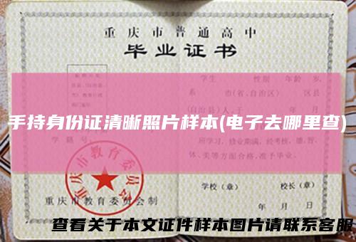 手持身份证清晰照片样本(电子去哪里查)