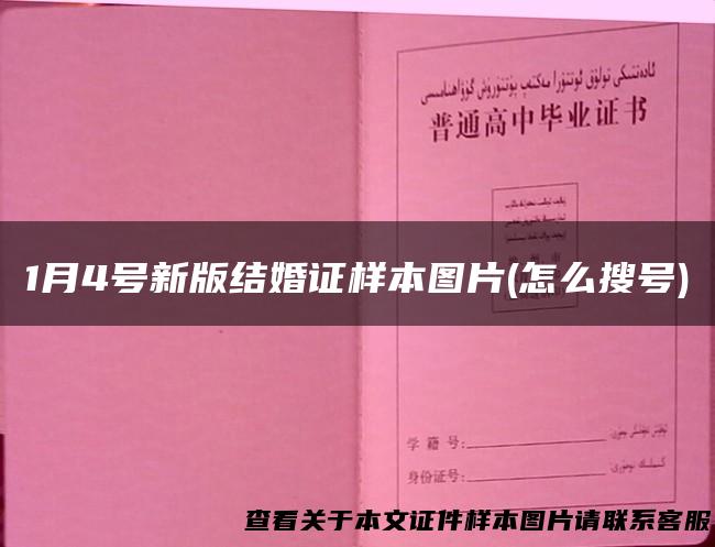 1月4号新版结婚证样本图片(怎么搜号)