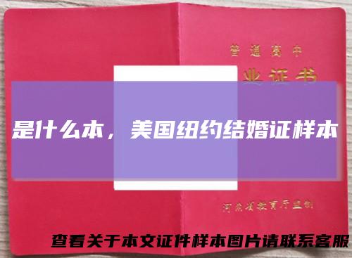 是什么本，美国纽约结婚证样本