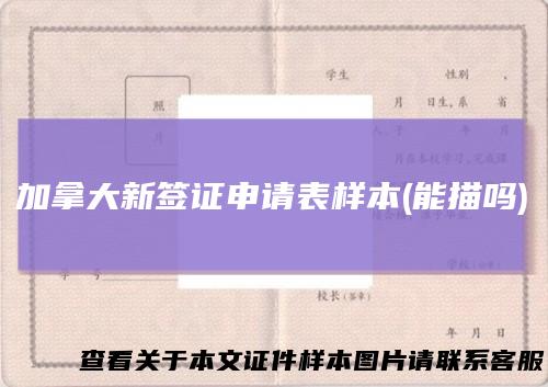 加拿大新签证申请表样本(能描吗)