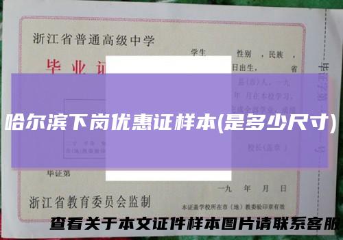 哈尔滨下岗优惠证样本(是多少尺寸)