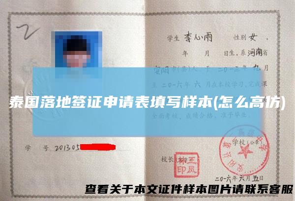 泰国落地签证申请表填写样本(怎么高仿)