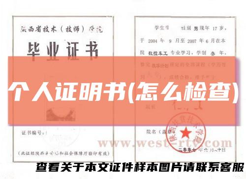 个人证明书(怎么检查)
