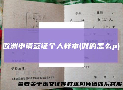欧洲申请签证个人样本(假的怎么p)