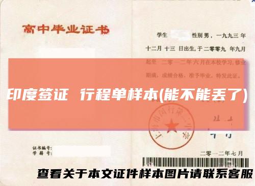 印度签证行程单样本(能不能丢了)